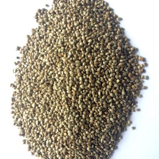 Hemp seeds (feed grade) from Germany, minimum purchase 1 ton.